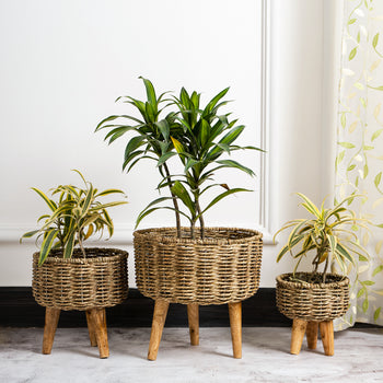 Natural Seagrass Hand Woven Planter (Set of 3)