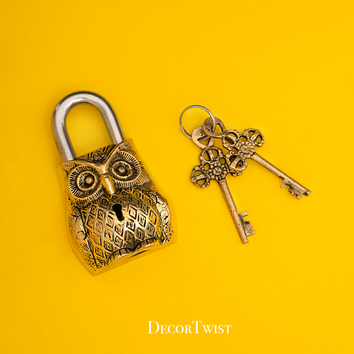 Brass Owl Door Lock