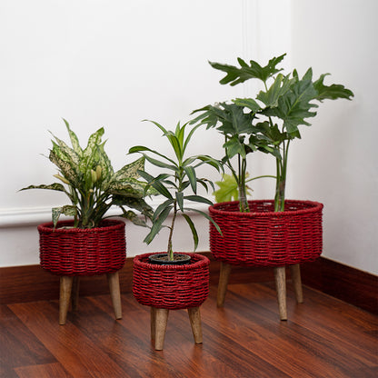 Natural Seagrass Hand Woven Planter (Set of 3)