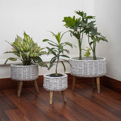 Natural Seagrass Hand Woven Planter (Set of 3)