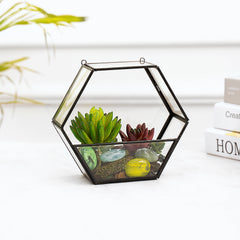 Decorative Hexagon Shape Table Top/Hanging Glass Terrarium