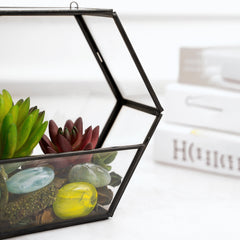 Decorative Hexagon Shape Table Top/Hanging Glass Terrarium