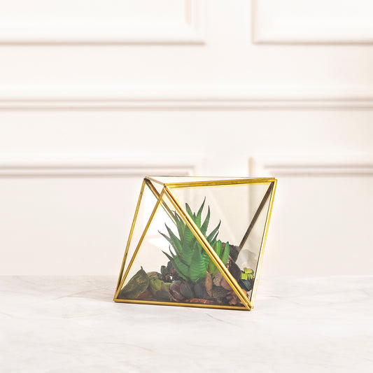 Geometric Glass Terrarium for Succulent