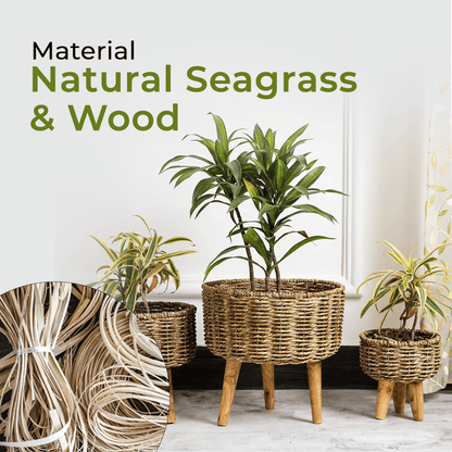 Natural Seagrass Hand Woven Planter (Set of 3)