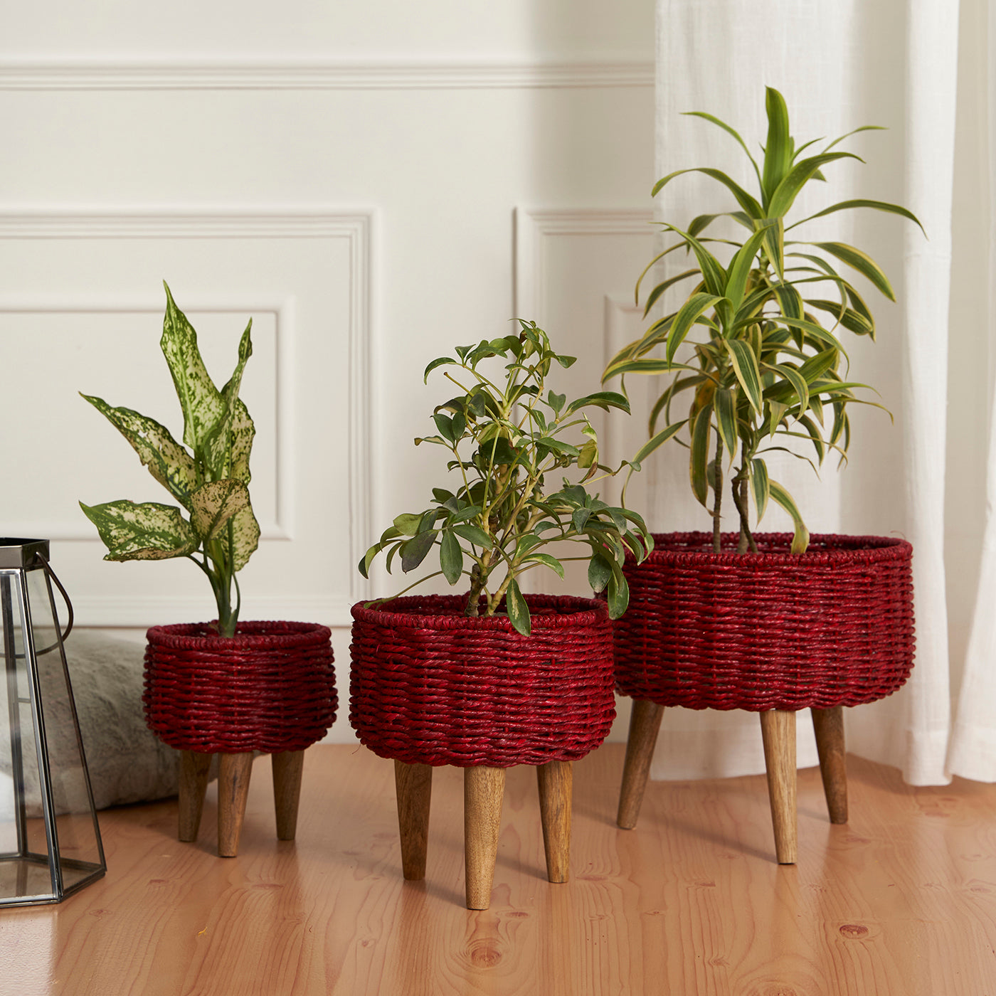 Natural Seagrass Hand Woven Planter (Set of 3)