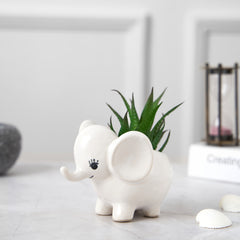Cute Elephant Ceramic Succulent Planter For Home Garden Office Desktop