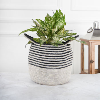 Designer Braided Cotton Planter/Basket Black & White With Handle