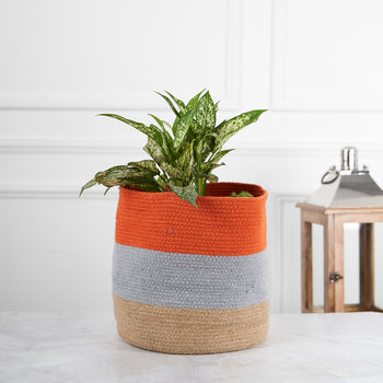 Designer Braided Cotton Planter/Basket Orange, Grey & Beige