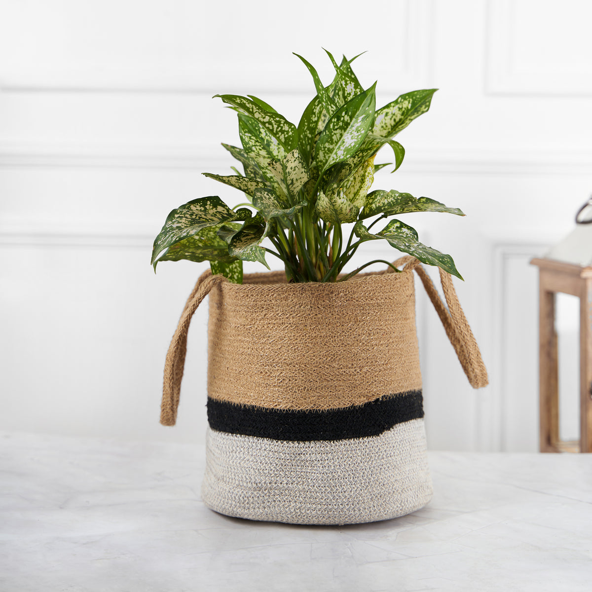 Designer Braided Cotton Planter/Basket Beige, Black & Grey With Handle